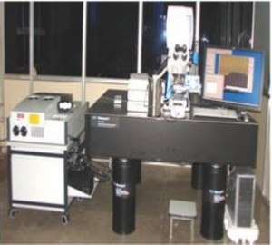 Laser Confocal scanning optical microscope (Zeiss  LSM510META)